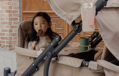 Pronto Stroller