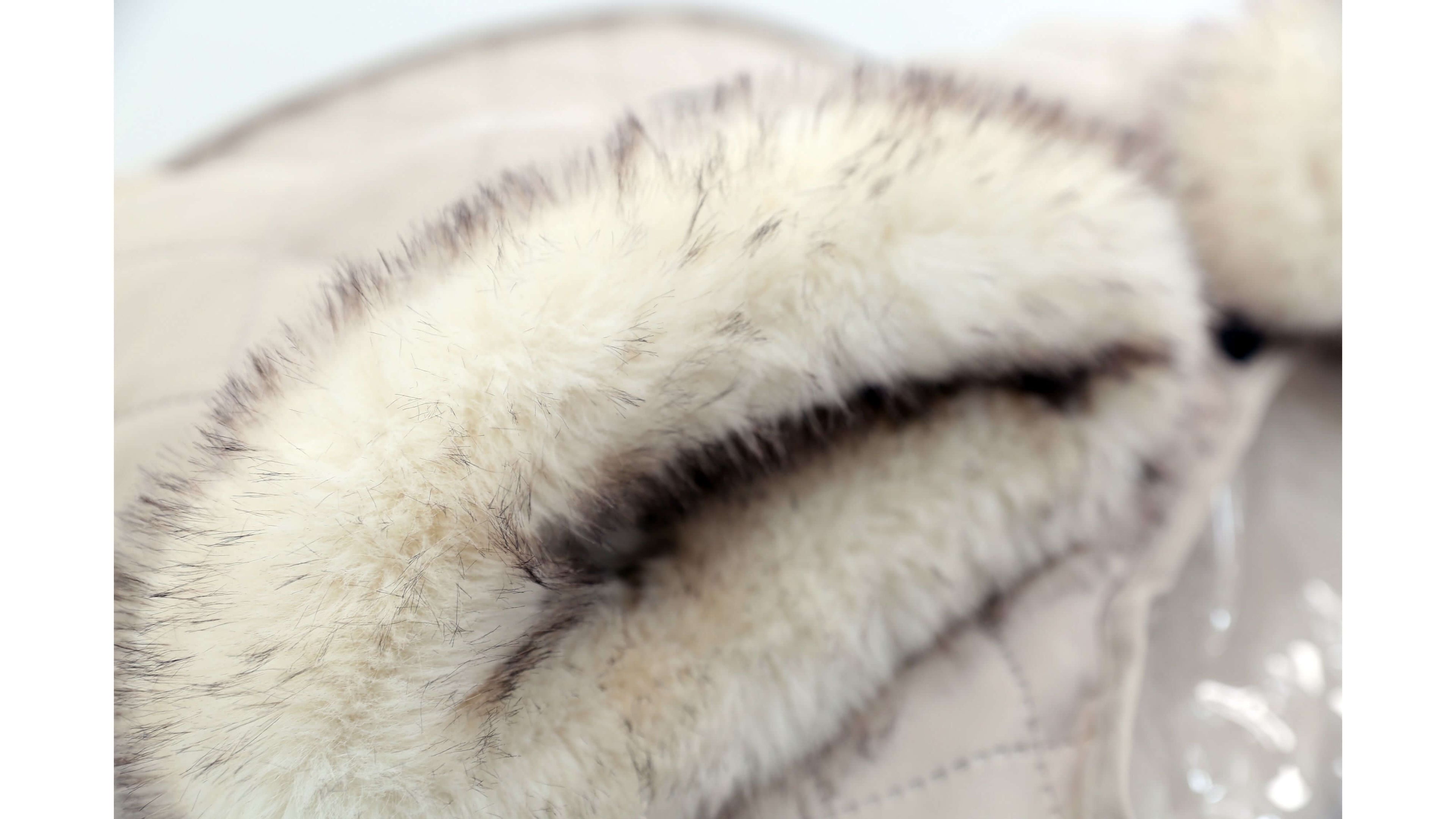 Warm Cover and Hand Muffs