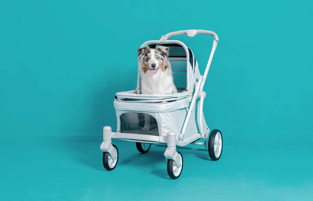 Pronto Pet