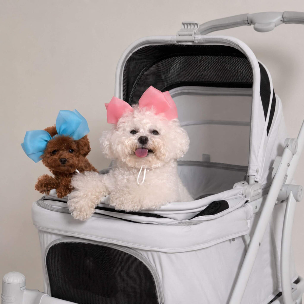 A small white fluffy dog wearing a pink bow sits in a white and black pet stroller, next to a small brown plush toy with a blue bow, against a plain light beige wall.