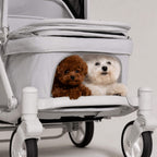A pet stroller with a clear front window showing two small dogs, one brown and one white, sitting inside. The stroller is photographed against a clean, light gray studio background.