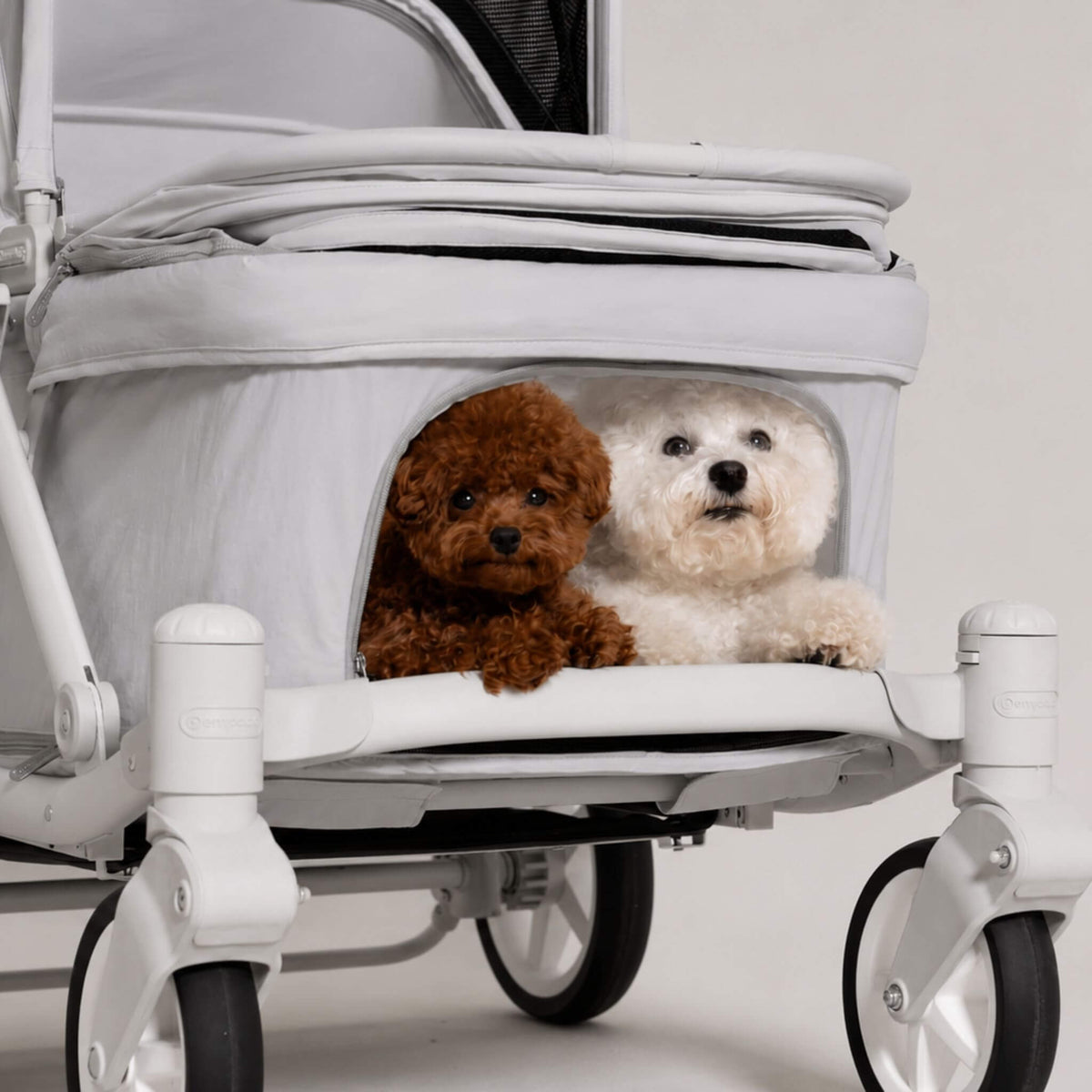 A pet stroller with a clear front window showing two small dogs, one brown and one white, sitting inside. The stroller is photographed against a clean, light gray studio background.